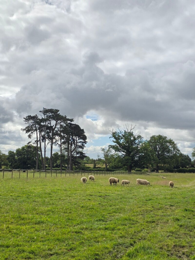 Alice Peachstone, Managing director of Peachstone New Homes inspects a property development