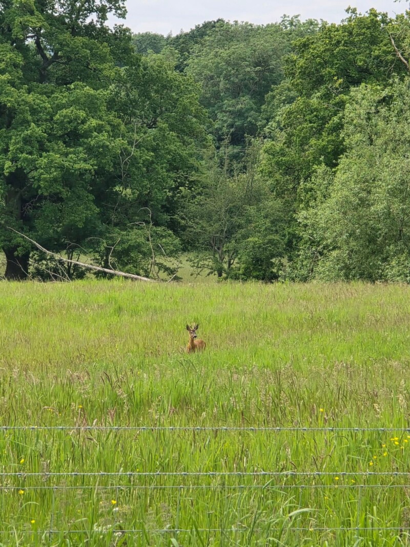 Alice Peachstone, Managing director of Peachstone New Homes inspects a property development